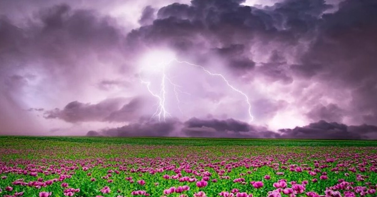 •12:30 Dwa ostrzeżenia meteorologiczne dla powiatu średzkiego
