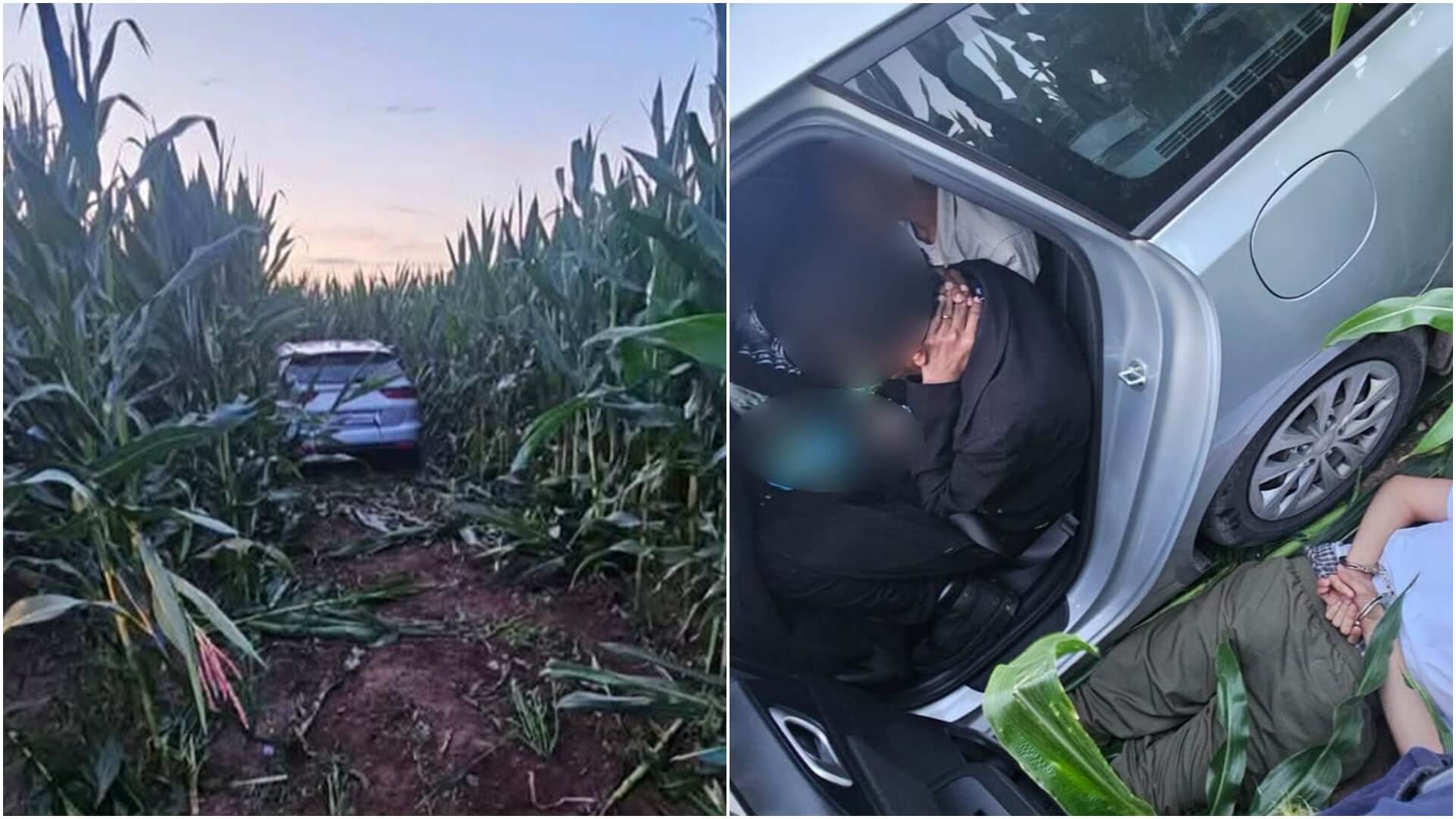 19-latek uciekał przed policją z migrantami w aucie. Próbował się schować w polu kukurydzy