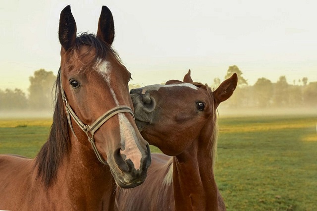 25/07/2026Lekki wysiłek, spacer, stanie, a nawet sen. Dla serca wszystko jest lepsze niż siedzenie
