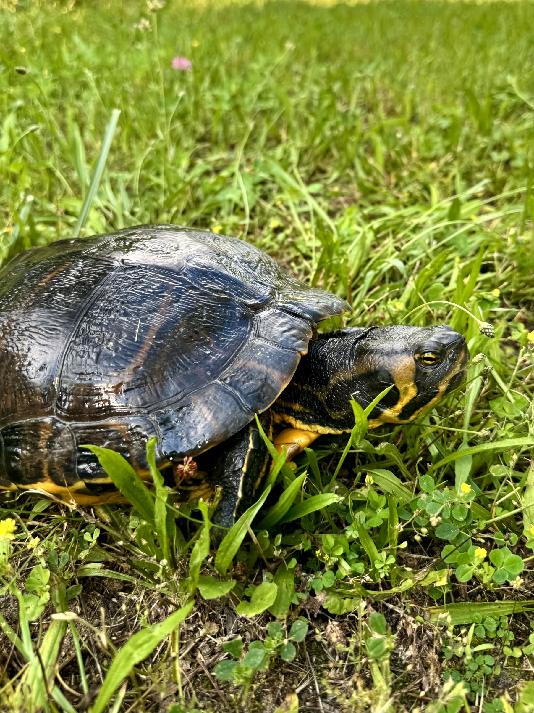 3 kilogramy, 30 centymetrów i milion złotych kary