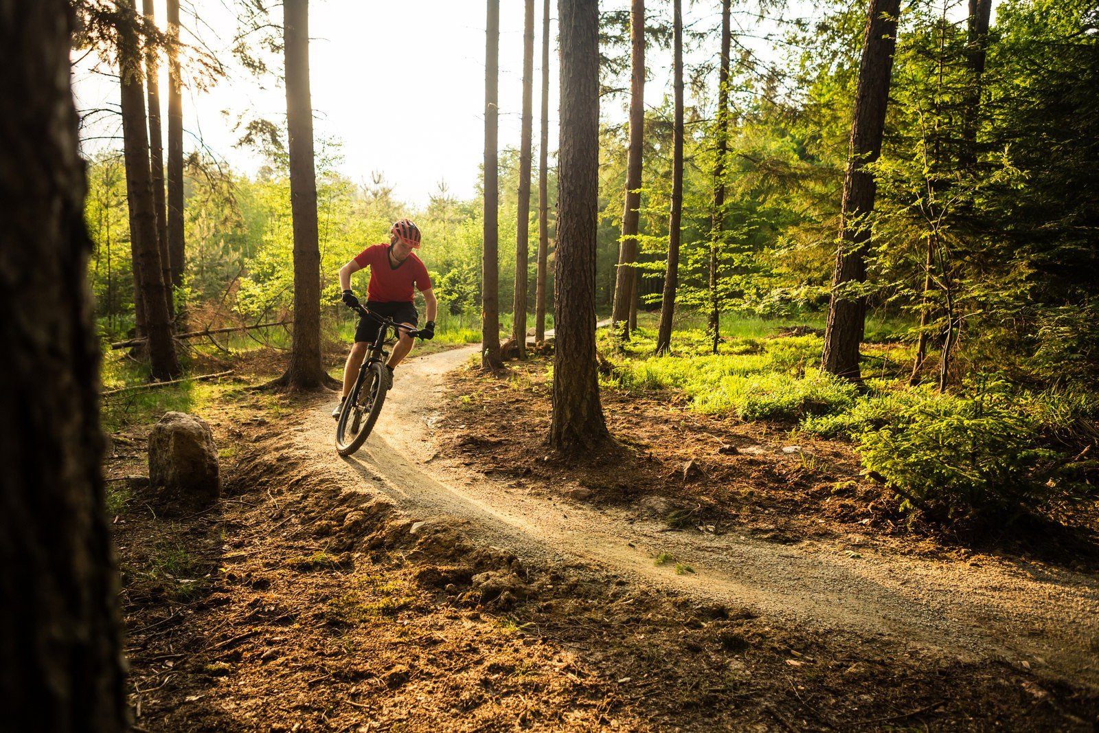 5 pomysłów na rowerową wyprawę w okolicy Gryfina