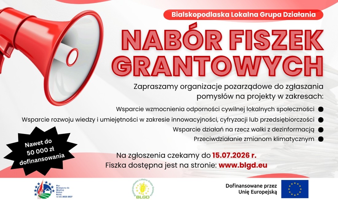 50 tys. zł na fiszki grantowe