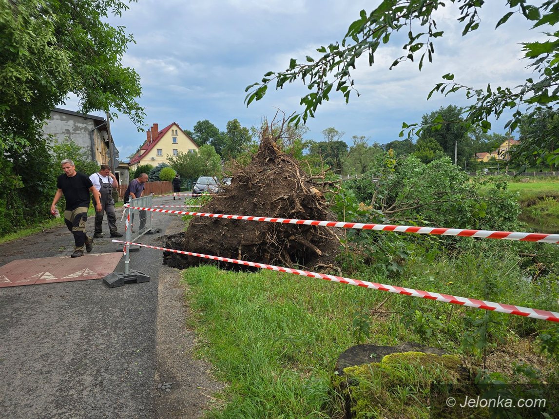 63 Oj panie, takie drzewo padło, że ledwo tędy przeszedłem