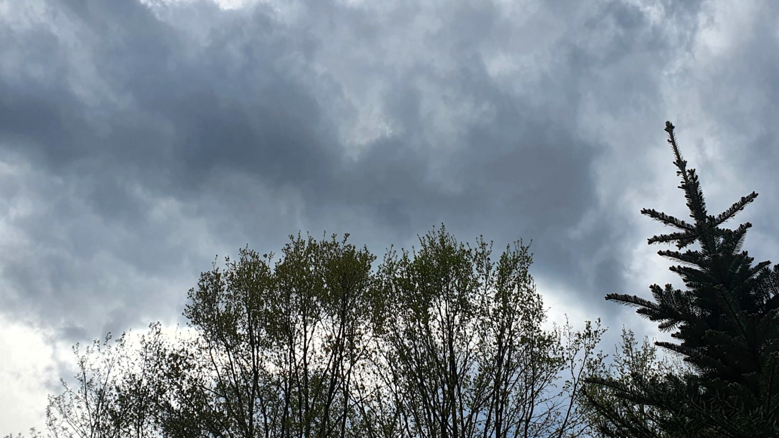 7 lipca 2026 Na południu burze, na północy porywisty wiatr. Są ostrzeżenia meteorologów