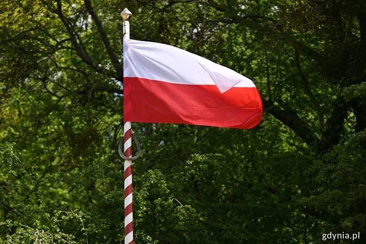 9 lipca 2026Na Witominie oddadzą hołd ofiarom Wołynia. W sobotę ważna uroczystość