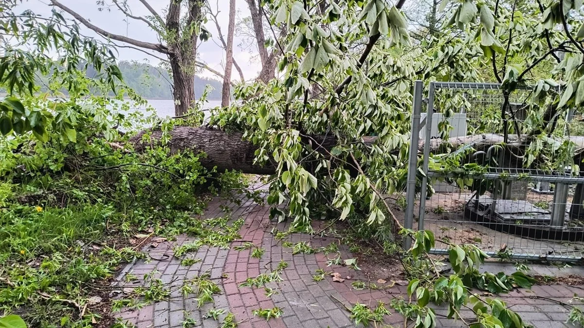Alert pogodowy dla Warmii i Mazur. Będzie wichura i popada deszcz