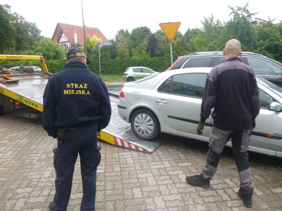Alkohol, awantury i dewastacja zieleni, czyli tydzień interwencji Straży Miejskiej