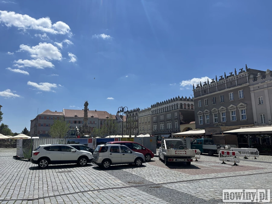 Antykoncepcyjna karma dla gołębi trafi na rynek w Raciborzu. „Nie chcemy stosować brutalnych metod wobec tych miłych ptaków”