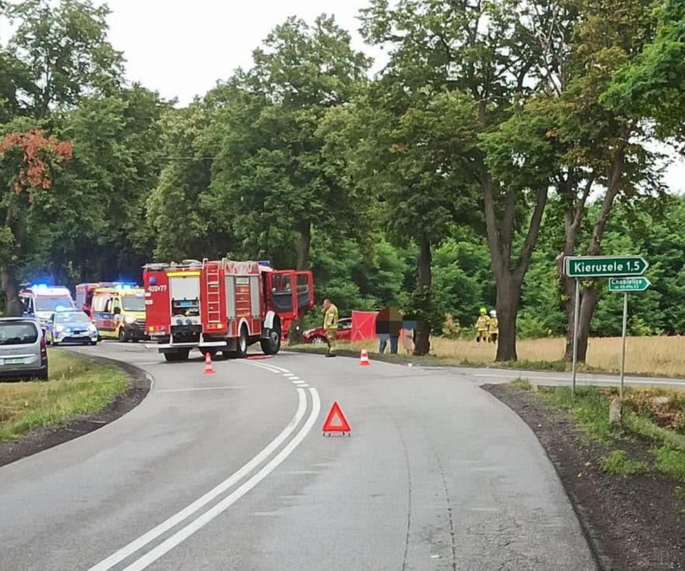 Służby ratunkowe na miejscu śmiertelnego wypadku w Chabielicach. O szczegółach tragedii przeczytasz na SE Łódź.