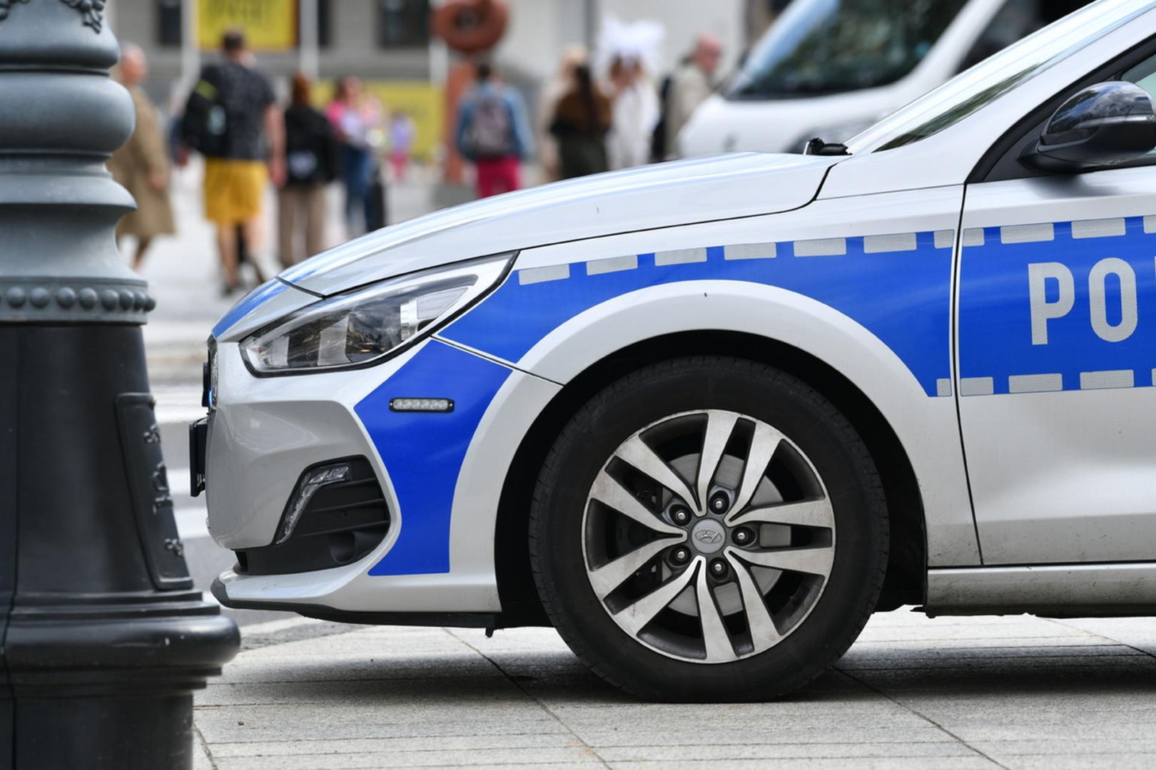 Awantura o chihuahuę w autobusie. Kierowca tłumaczy, dlaczego wezwał policję