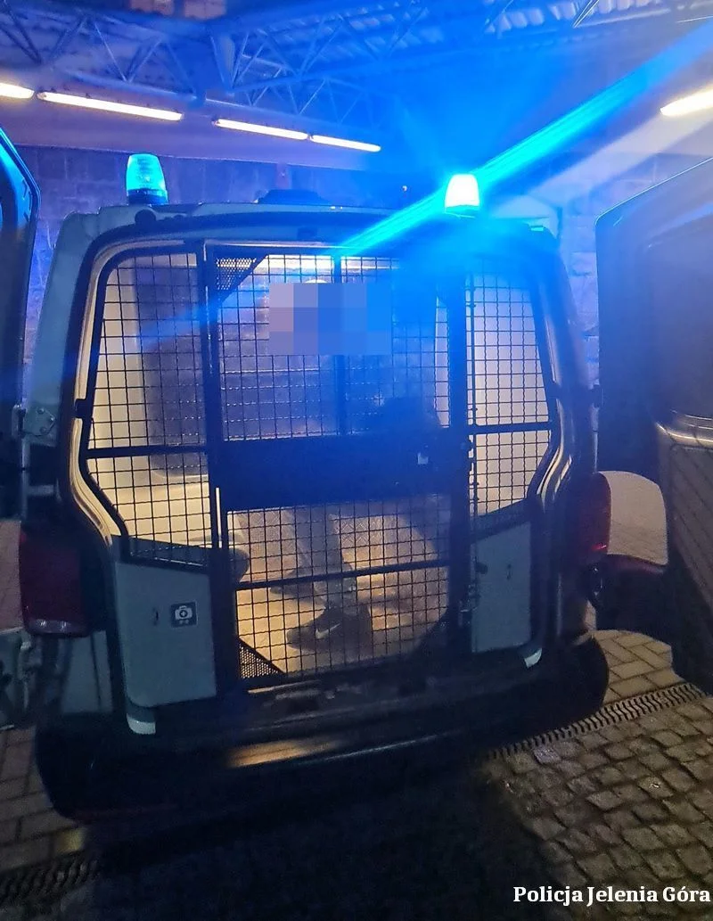 Awantura w powiecie karkonoskim. Rzucił w byłą partnerkę nożem, teraz musi meldować się na policji codziennie