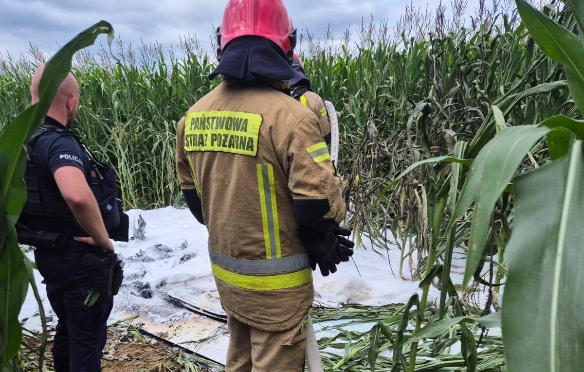 Awaryjne lądowanie awionetki w polu kukurydzy. Co wydarzyło się w powietrzu?