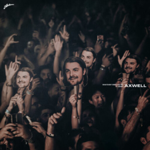 Axwell / Bonn - Whatever Turns You On