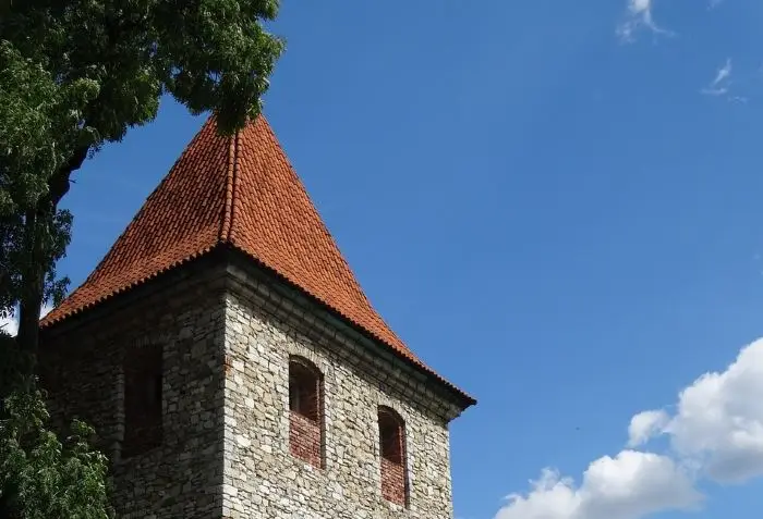 Barszcz Sosnowskiego w gminie Klucze może poparzyć. Uwaga na kontakt
