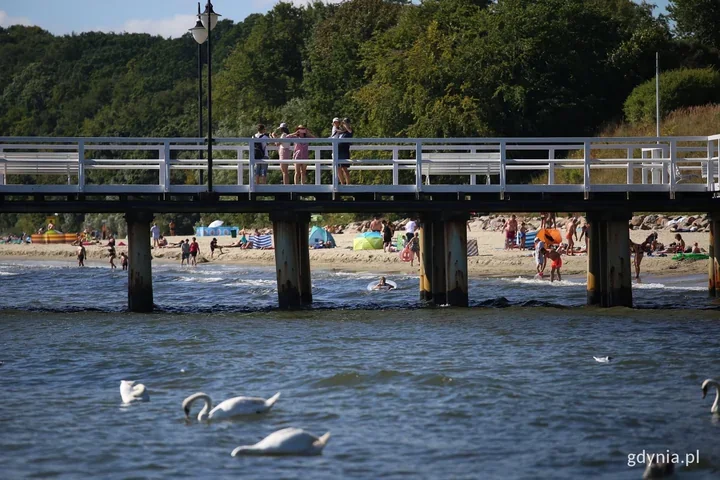 Biała flaga na wszystkich gdyńskich kąpieliskach. Woda ma 17–18°C