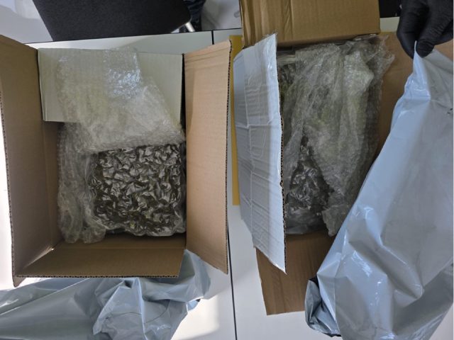 Blisko 2,3 kg marihuany przejęte z przesyłek kurierskich. Narkotyki jechały z Hiszpanii