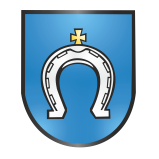 Burmistrz Miasta i Gminy Janów ogłasza nieograniczony przetarg ustny na sprzedaż nieruchomości