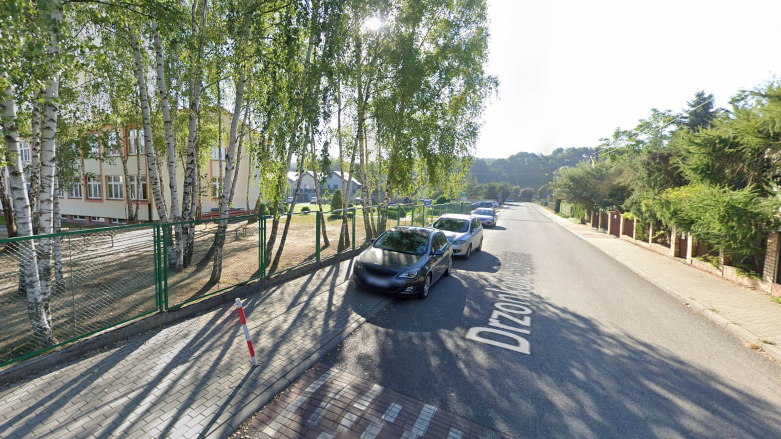 Burza wokół szkoły w Zielonej Górze. Chcą wyciąć 30 drzew i zbudować parking