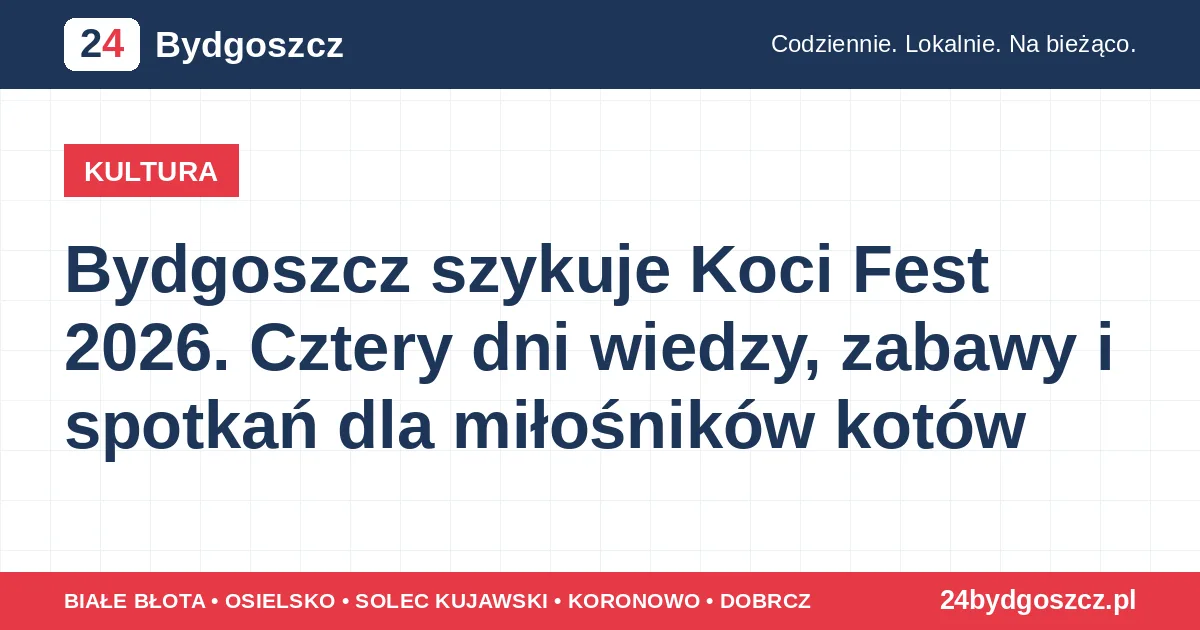 Bydgoszcz szykuje Koci Fest 2026. Cztery dni wiedzy, zabawy i spotkań dla miłośników kotów