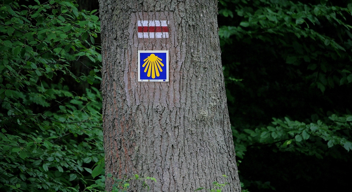 Camino de Santiago pełne pątników