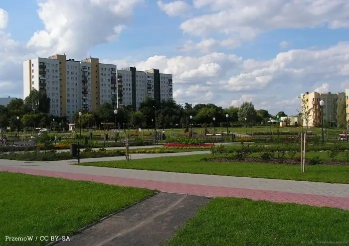 Centralna e-rejestracja bez tajemnic. Bezpłatny webinar dla pacjentów