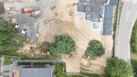 Deweloper nie miał zgody na wycinkę dębów. "Poprzewracał je koparkami"