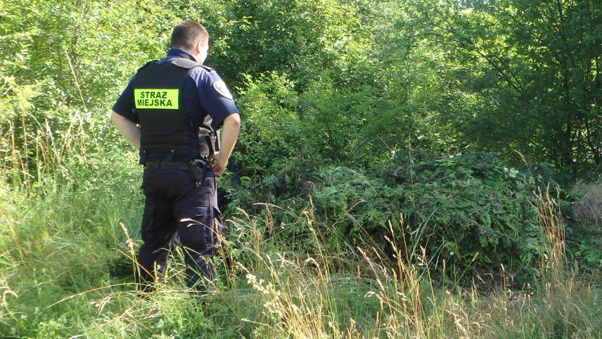 Chciała wyrzucić śmieci do lasu na oczach strażników