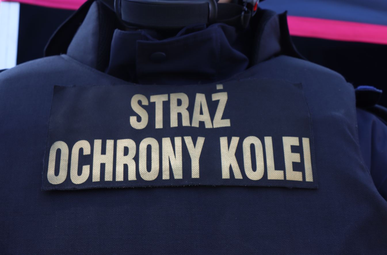 Chwile grozy na linii kolejowej. Służby zdążyły w ostatniej chwili