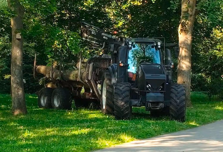 Zdjęcie 3