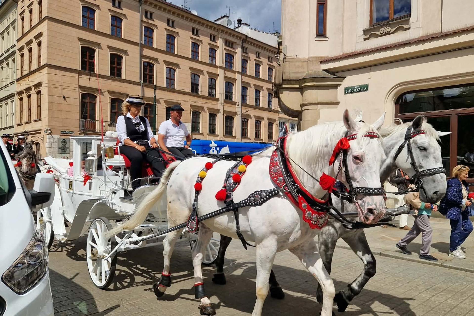 Czy konie znikną z Rynku Głównego? Burzliwa debata podczas sesji Rady Miasta