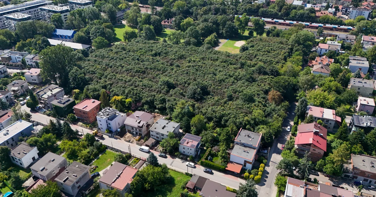 Czy zielona wyspa jest zagrożona? W planach nowa inwestycja