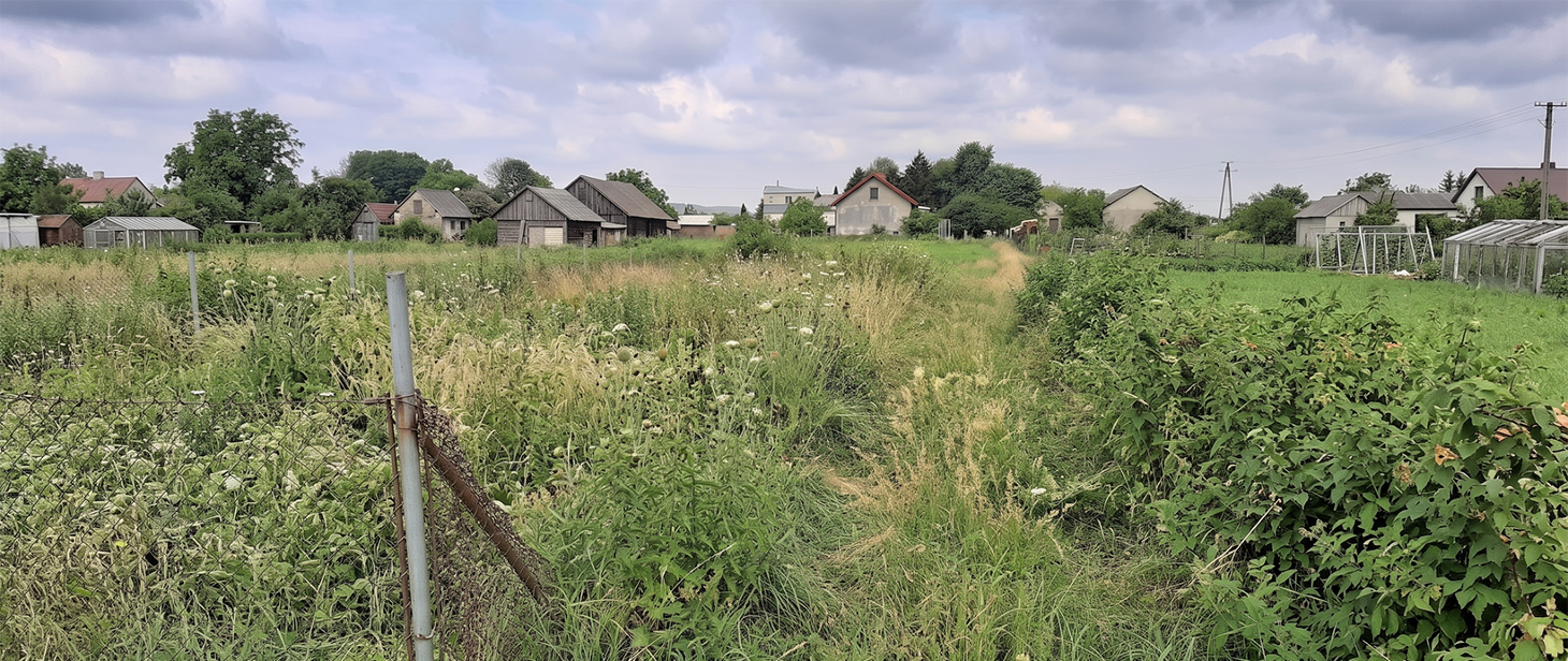 Dbanie o porządek na działkach to obowiązek każdego właściciela!