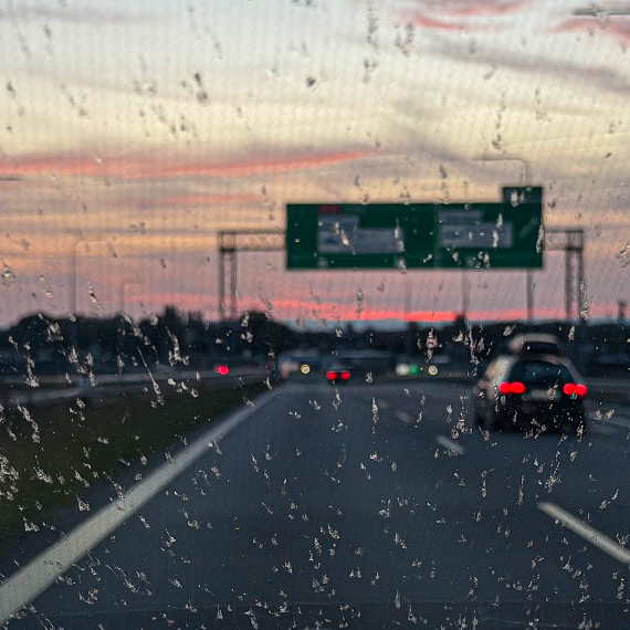 Deszcz komarów na S3. Kierowcy myśleli, że zaczęło padać