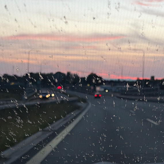Deszcz komarów na S3. Kierowcy myśleli, że zaczęło padać