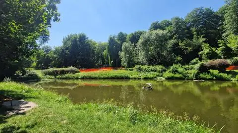 Remont Parku Arkadia
