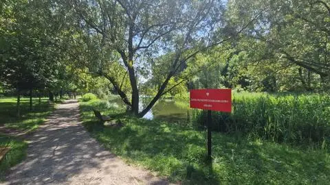 Remont Parku Arkadia