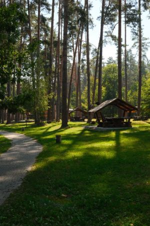 Domki noclegowe Lubkowo nad jeziorem - komfortowy wypoczynek w malowniczej okolicy
