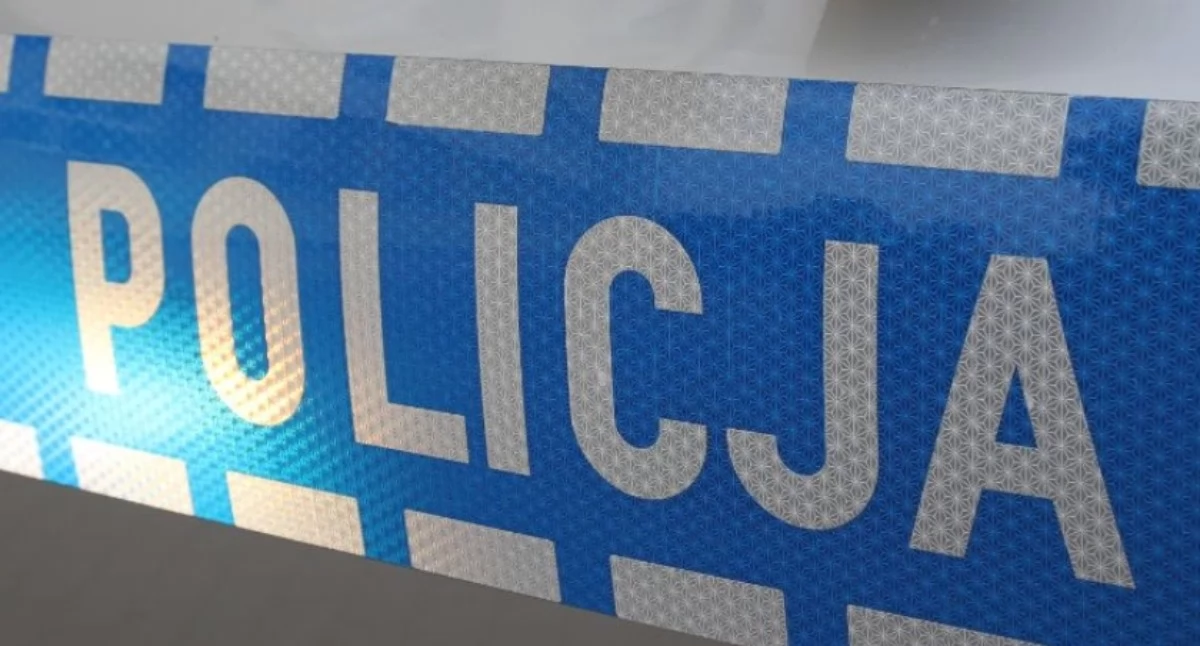Dozór policji i do 3 lat więzienia za zabicie trzech szczeniąt. Zarzuty dla