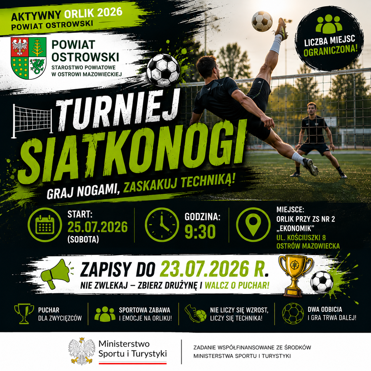 grafika siatkonogi