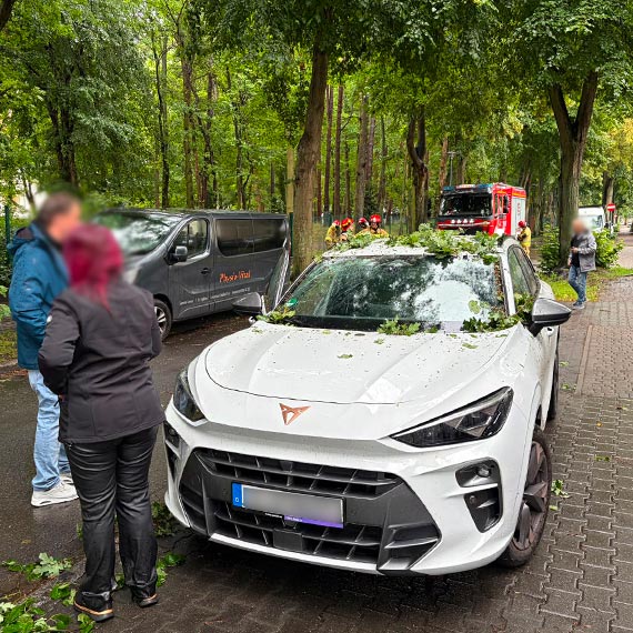 Drzewo runęło na samochód przy ulicy Wyspiańskiego. Kolejna groźna sytuacja