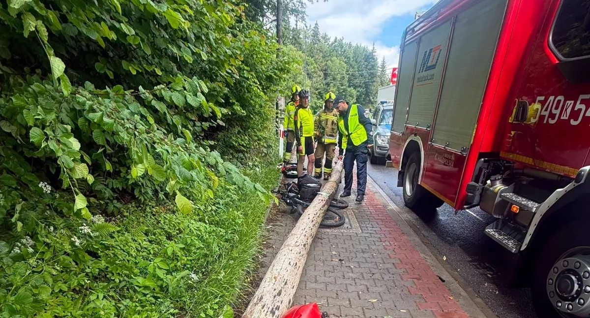 Drzewo spadło na rowerzystów w Białce Tatrzańskiej. Dwie osoby zostały