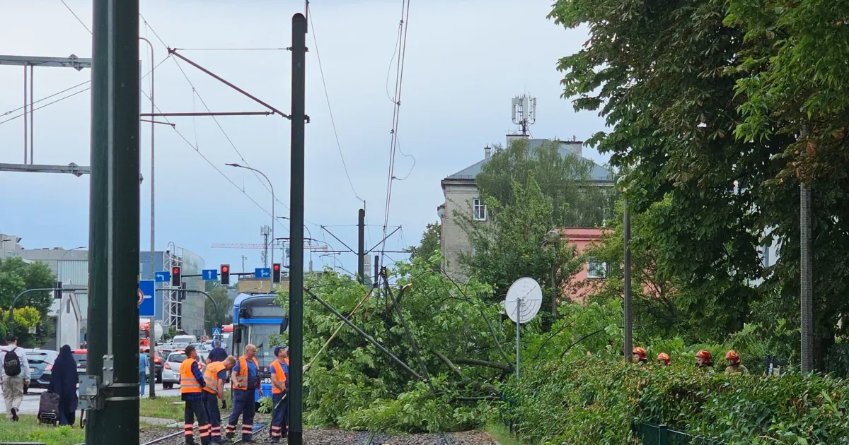 Drzewo spadło na sieć trakcyjną. Utrudnienia dla pasażerów