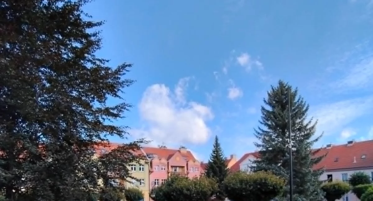 Działki, dom i udział w nieruchomości. W p…