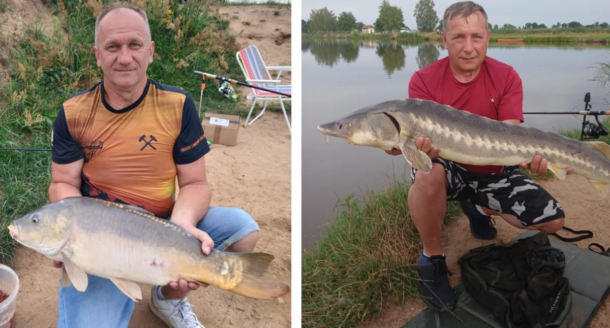 Dzisiaj Dwa rekordowe okazy! Takie ryby można łowi…