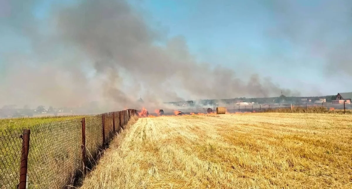 Dzisiaj Pożar ścierniska w Kobielach Wielkich. Ogi…