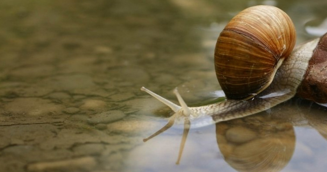 EKOLOGIA Traktujemy środowisko jak niewolnika. Mocne słowa hydrologa z SGGW