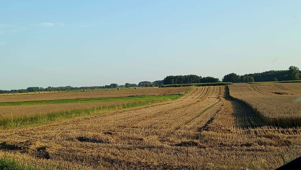 Fala upałów w Polsce. Najwyższe alerty dla Mazowsza i Lubelszczyzny