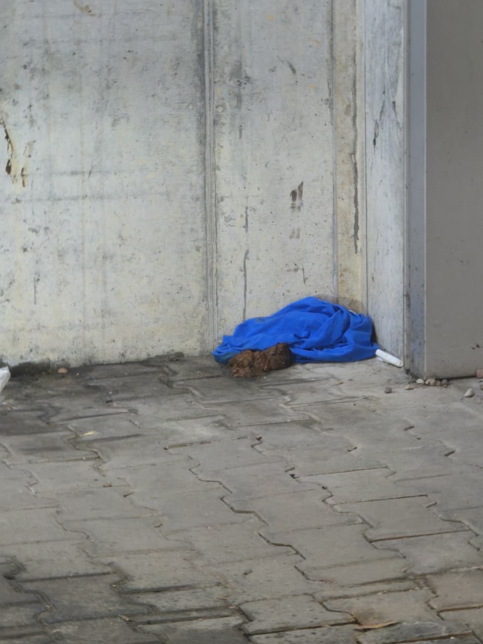 Fekalia w centrum Gniezna – monitoring pomógł ustalić sprawcę. To 21-latek bez stałego miejsca pobytu
