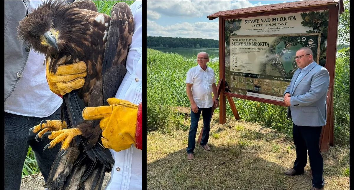 Fundacja Krzysztofa Strynkowskiego wzięła w zarząd Stawy nad Młokitą