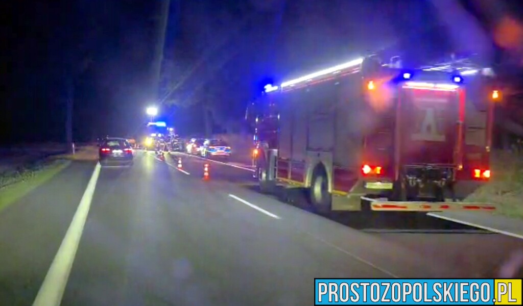Gałąź spadła na jadący samochód na DK46. W aucie podróżowały trzy osoby(WIDEO)
